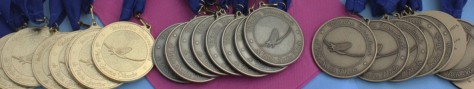 cropped-cropped-flymedals.jpg